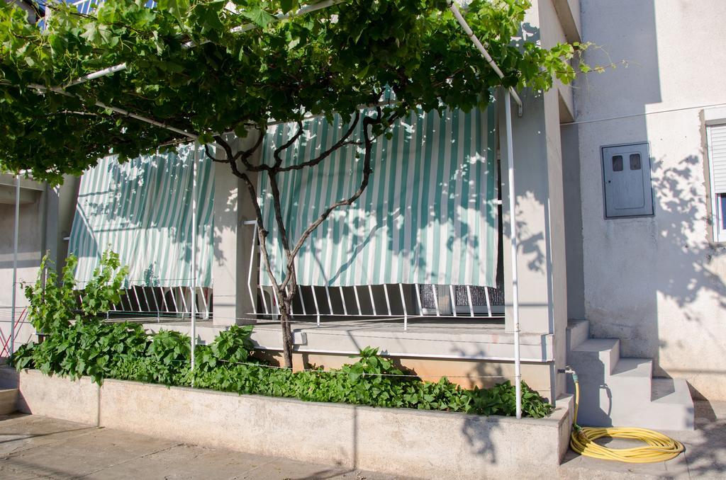 Apartmani Silvana&Vera 塞尼 外观 照片